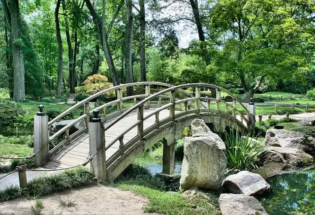Guide d'Achat : Outils de Jardinage Électrique
