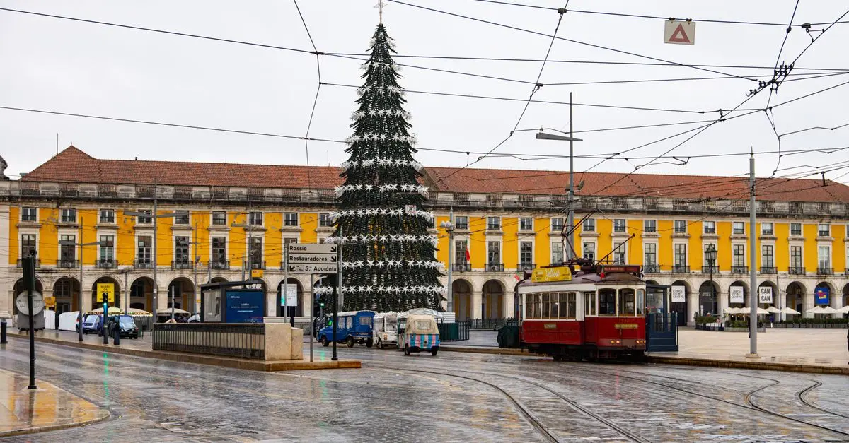 Najlepsze produkty do pielęgnacji kotów