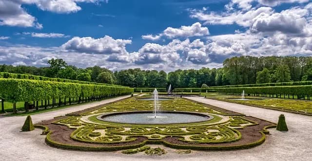 Guide complet des problèmes courants d'intérieur pour plantes