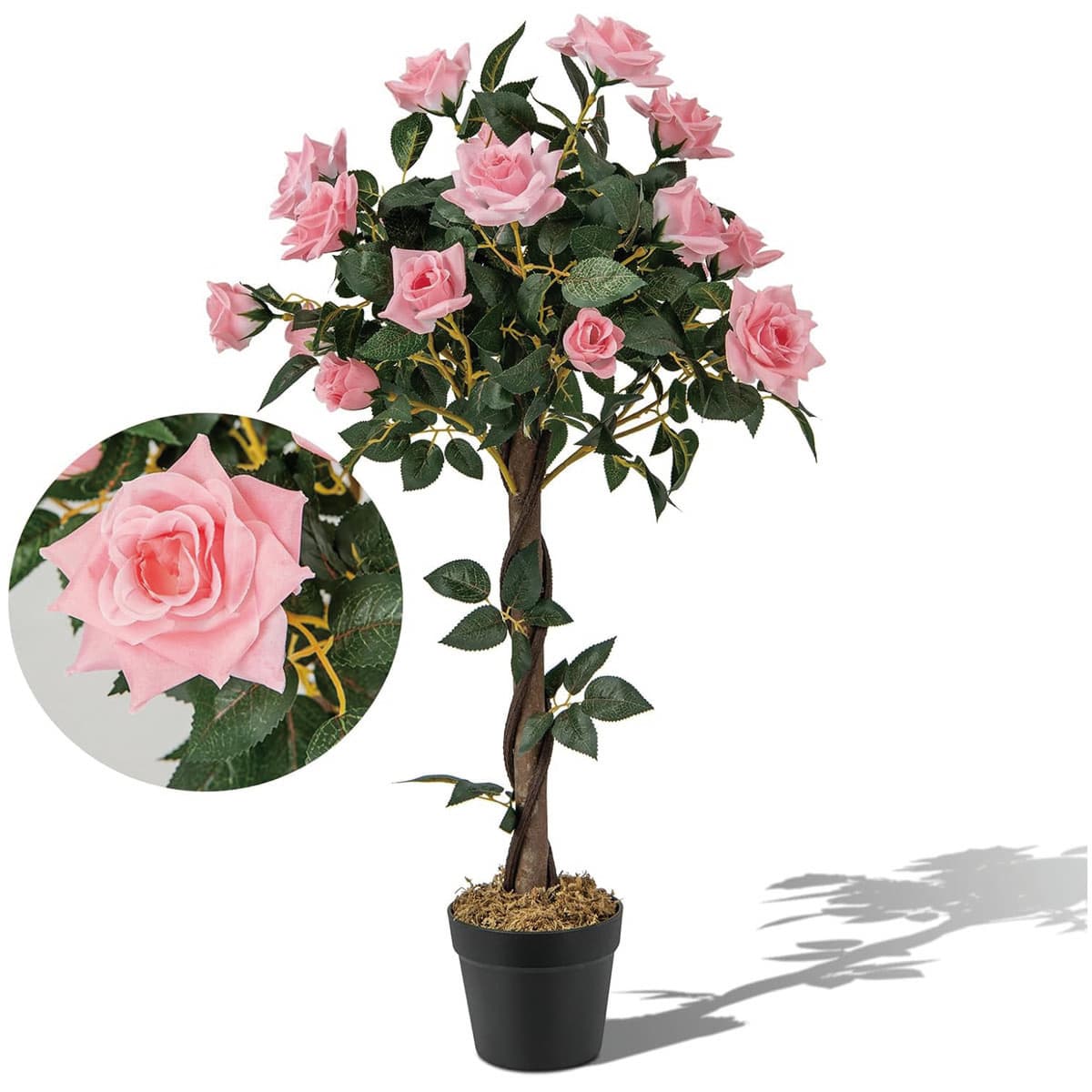 Comment entretenir vos rosiers